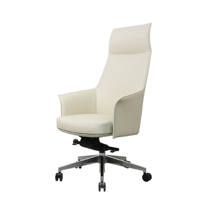 EN-1335 Ergonomic Task Chair High Back Ergo Office Chair 18KGS