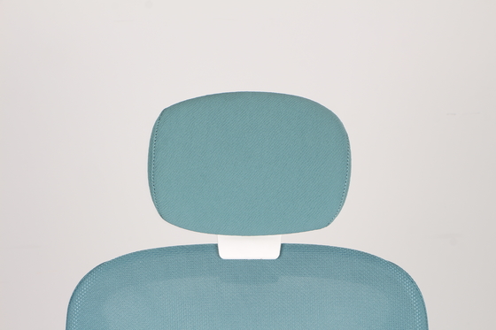 Cyan Adjustable Swivel Ergonomic Mesh Chair Breathable With 3D Armrests