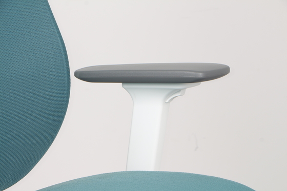 Cyan Adjustable Swivel Ergonomic Mesh Chair Breathable With 3D Armrests