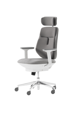 19.05 KG Double Airbag Lumbar Support Office Chair Executive Ergonomic PC Chair