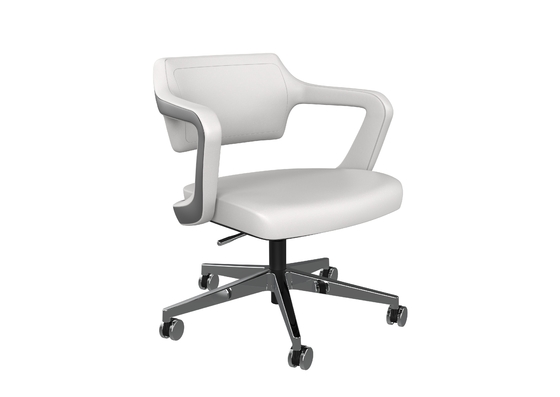 Gaslift Low Back Executive Swivel Desk Chair Fixed Armrest