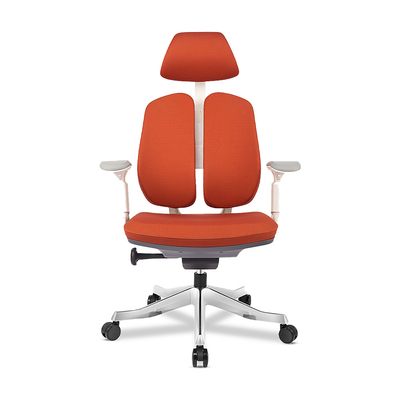 Posture Ergonomic Office Chair