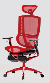 Adjustable Ergonomic Office Chair