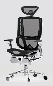 Adjustable Ergonomic Office Chair